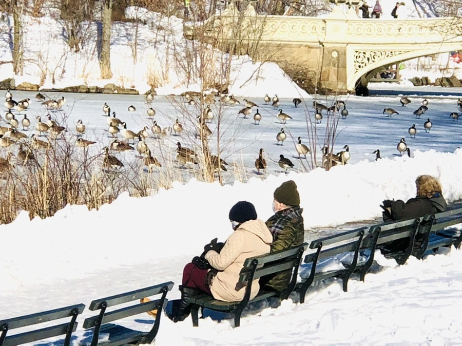 IMG_9841.jpg?type=w966