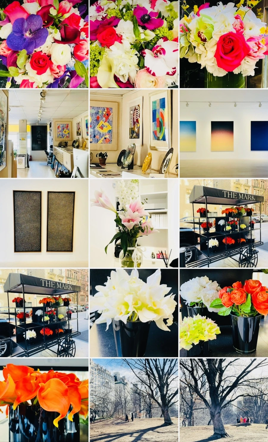 IMG_0494.jpg?type=w966