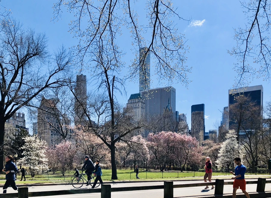 IMG_6646.jpg?type=w966