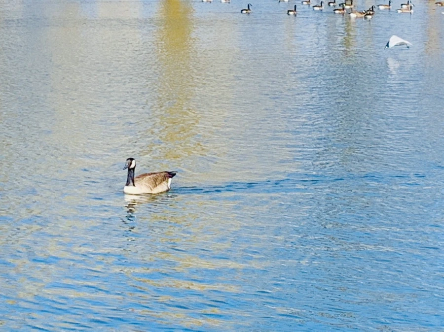 IMG_9967.jpg?type=w966