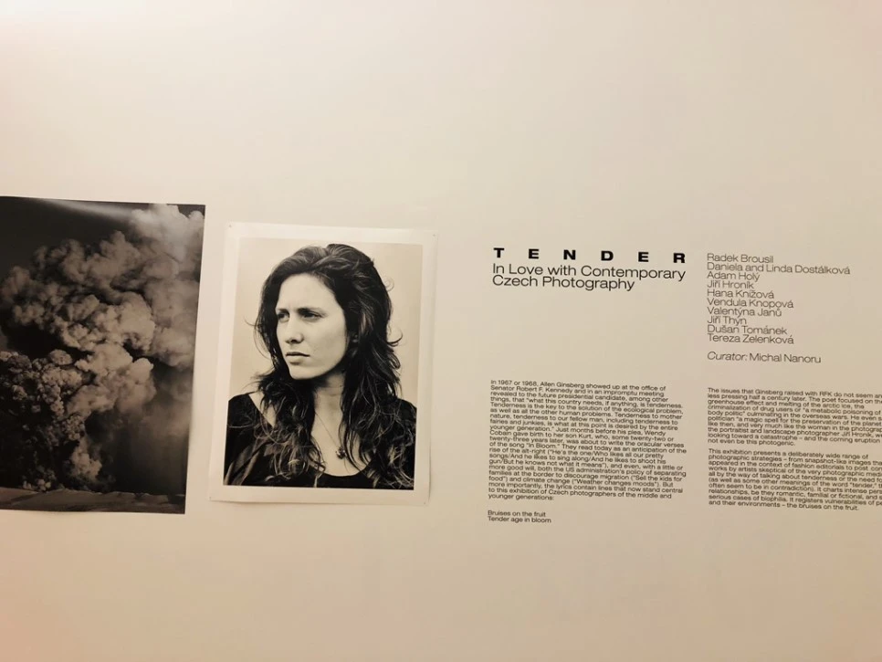 IMG_9628.jpg?type=w966