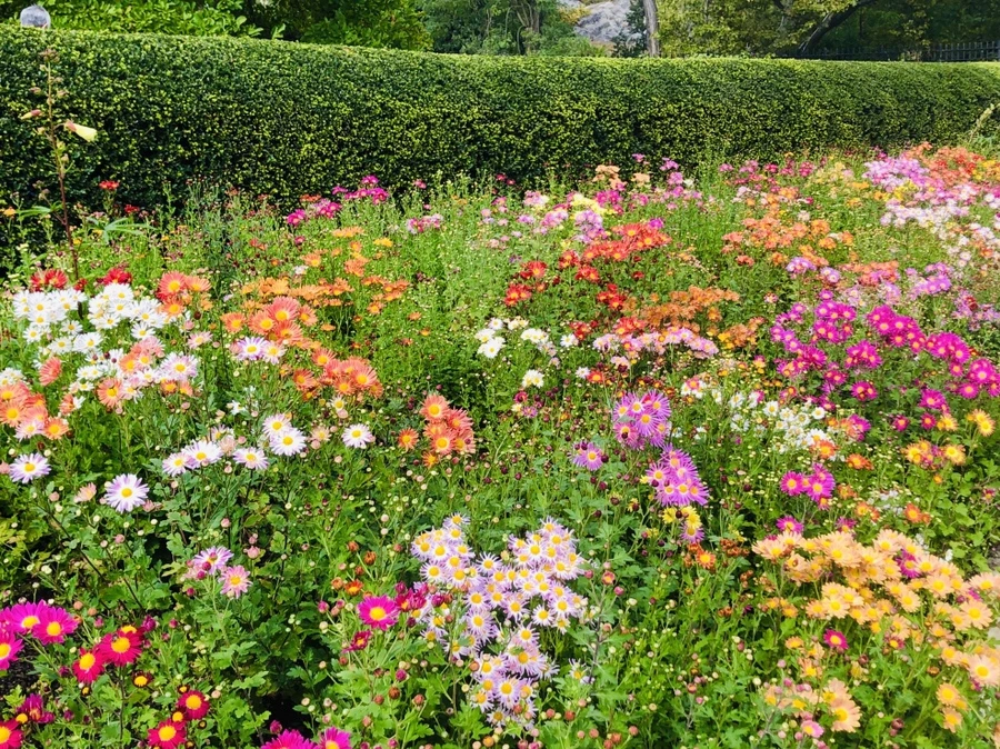 IMG_1940.jpg?type=w966