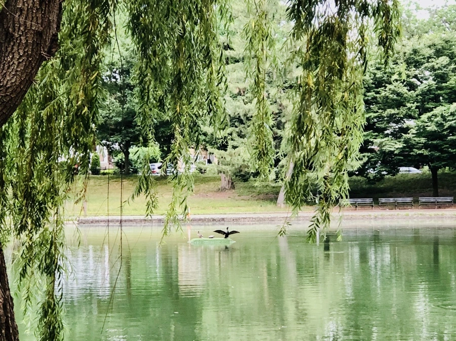 IMG_0830.jpg?type=w966