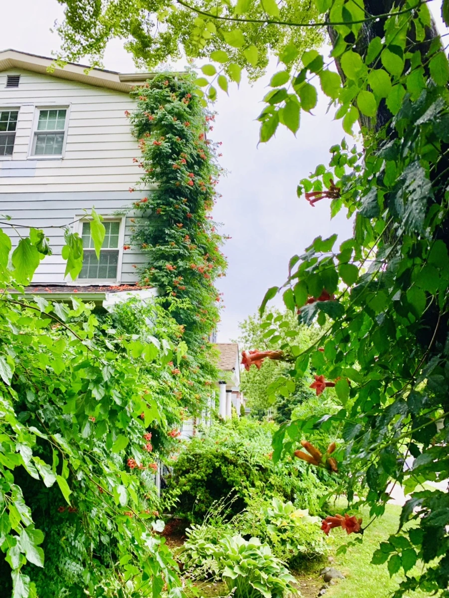 IMG_0033.jpg?type=w966