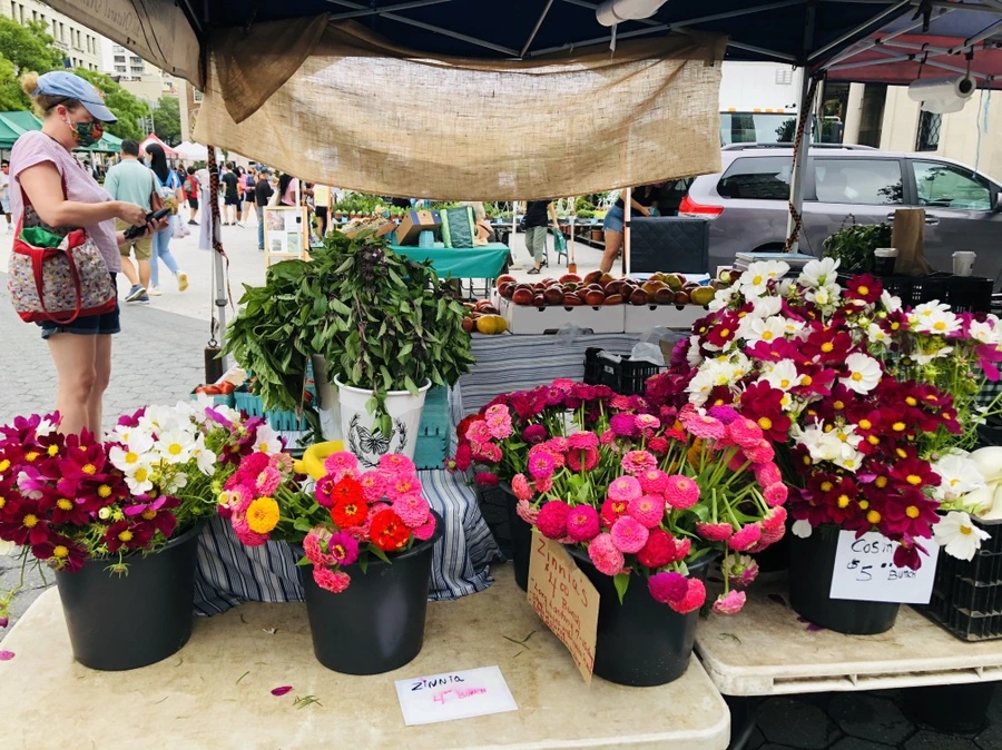 IMG_9009.jpg?type=w966