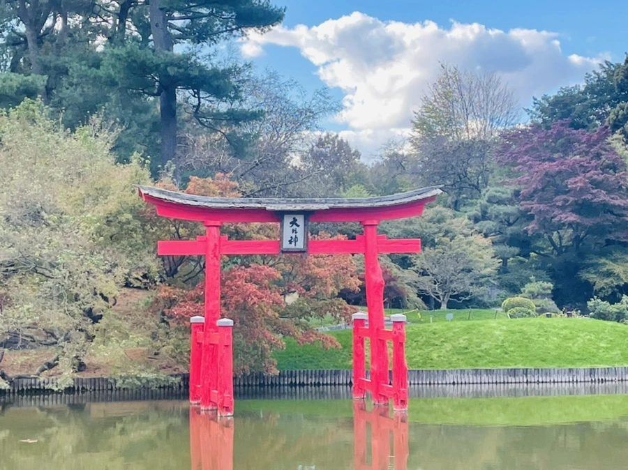 IMG_0193.jpg?type=w966