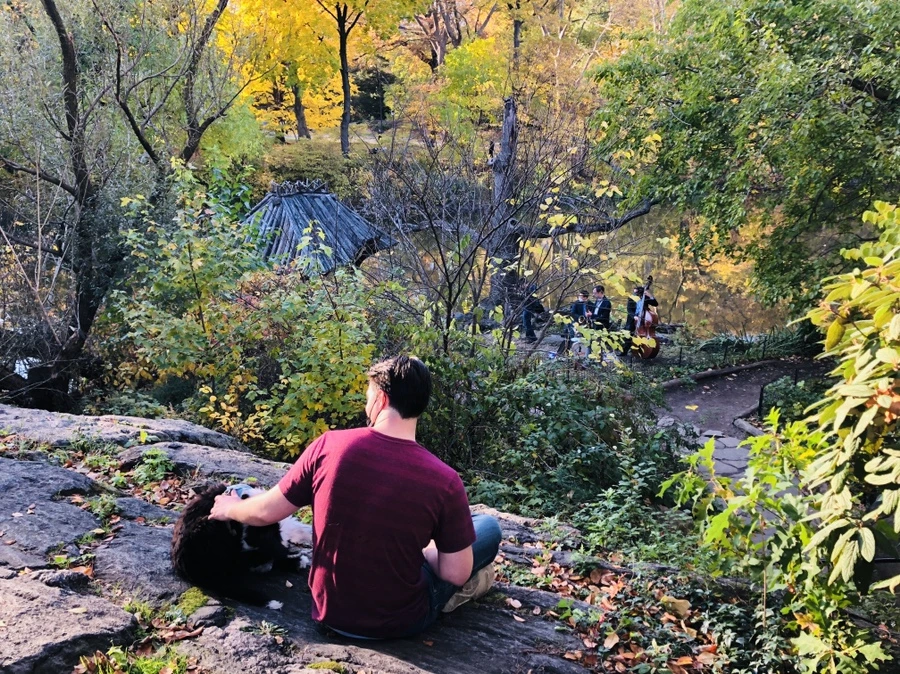 IMG_3616.jpg?type=w966