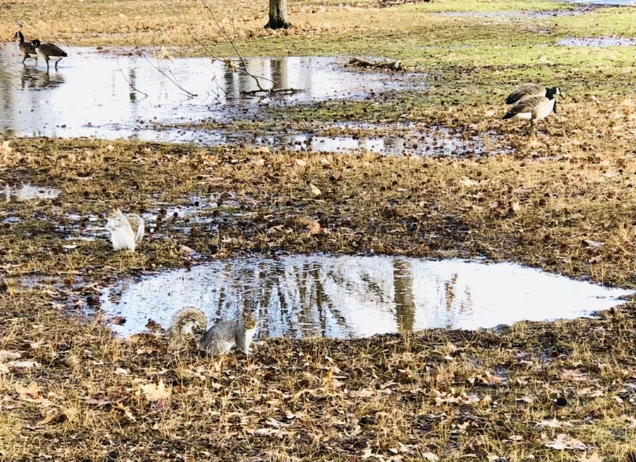 IMG_3573.jpg?type=w966