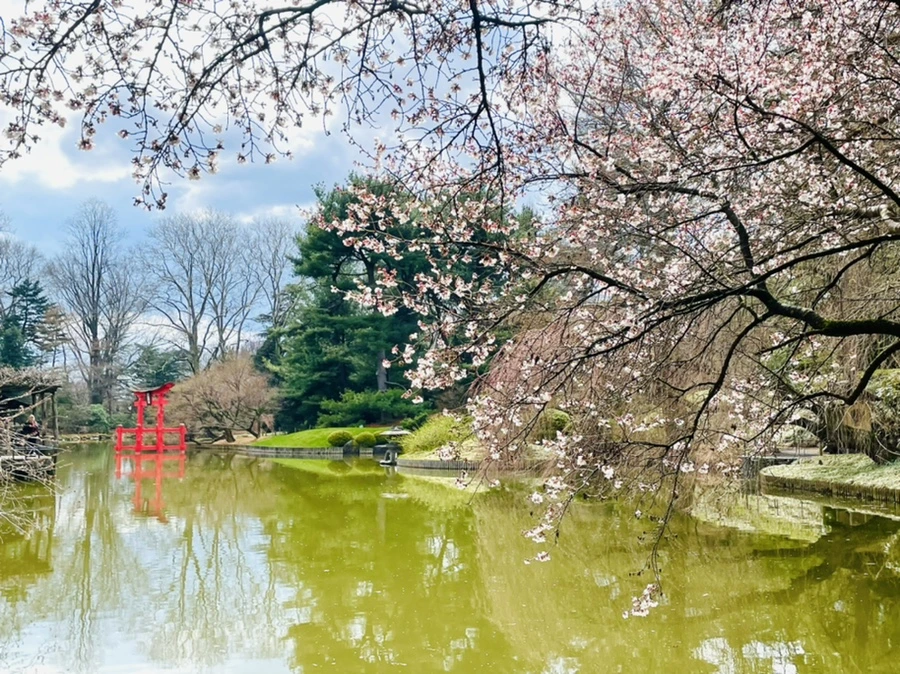 IMG_7498.jpg?type=w966