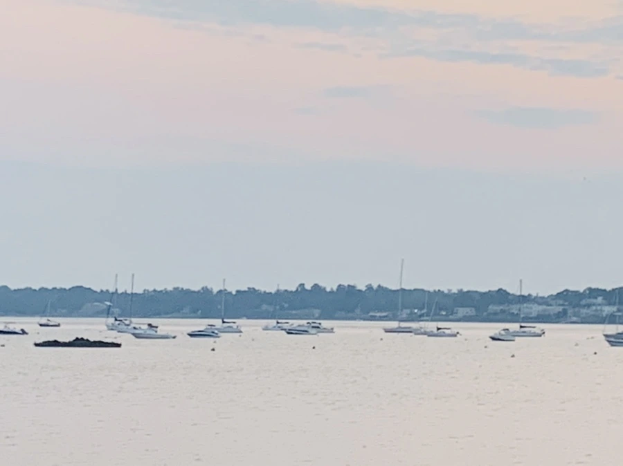 IMG_2345.jpg?type=w966