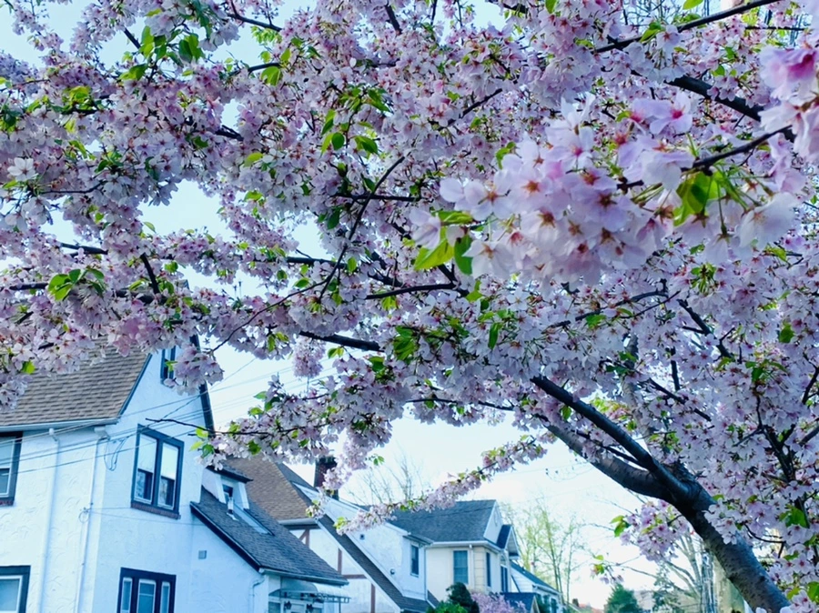 IMG_2658.jpg?type=w966