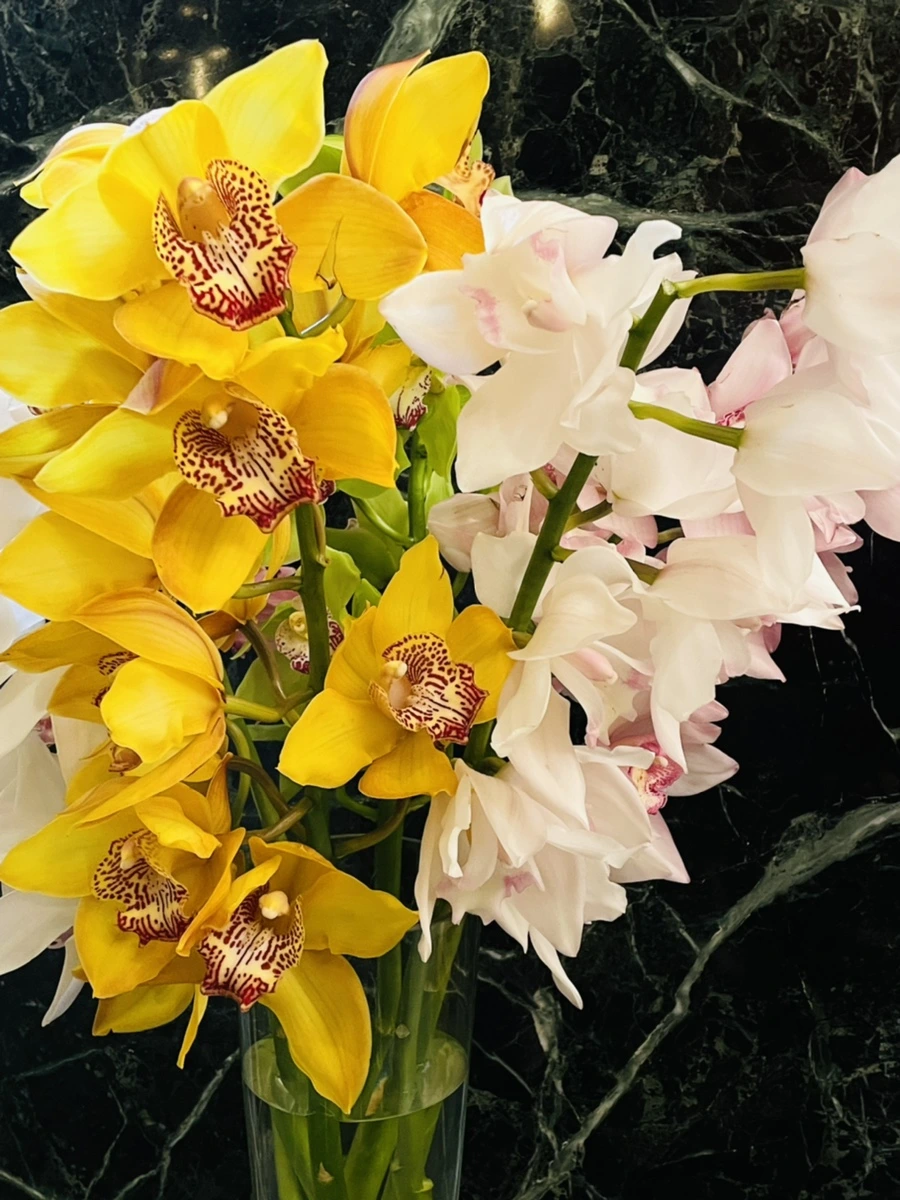 IMG_6360.jpg?type=w966