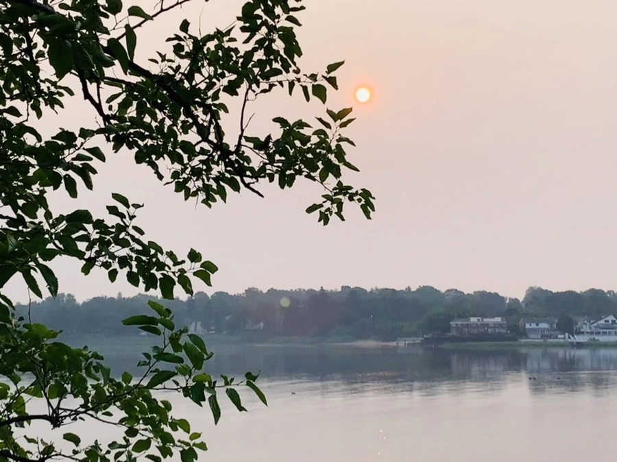 IMG_8450.jpg?type=w966