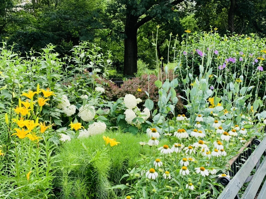 IMG_9904.jpg?type=w966