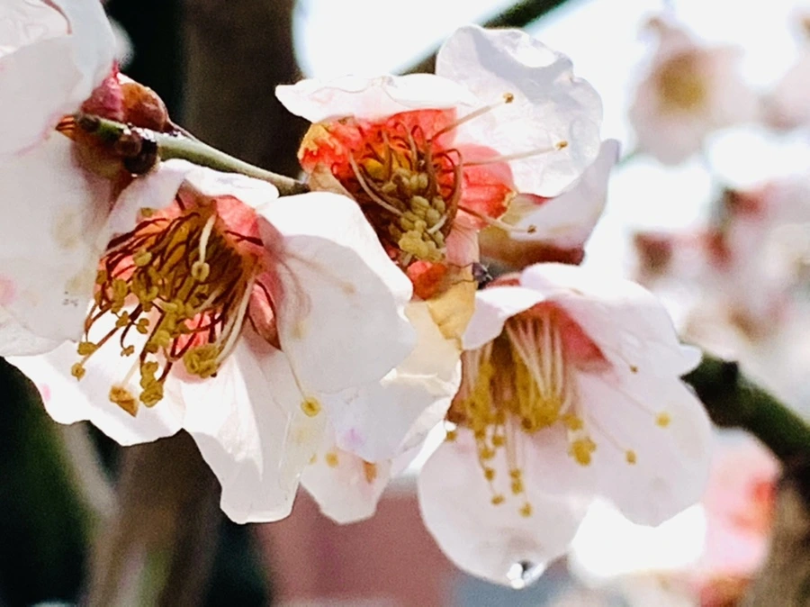 IMG_3977.jpg?type=w966