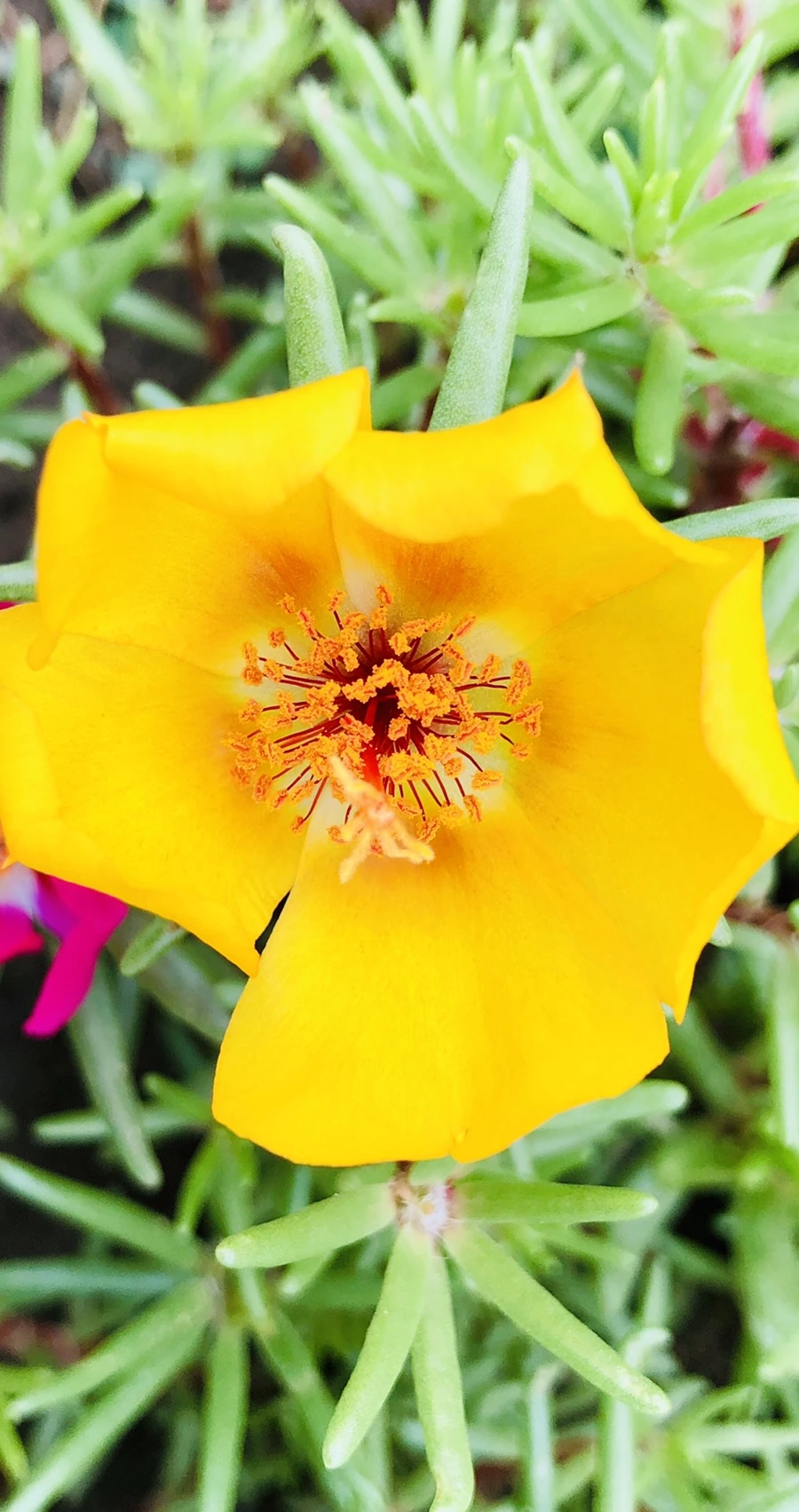 IMG_1276.jpg?type=w966