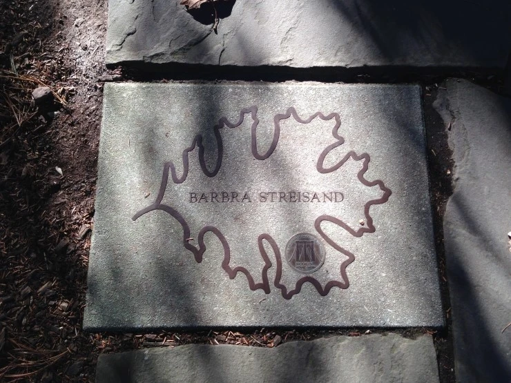 IMG_7586.jpg?type=w1