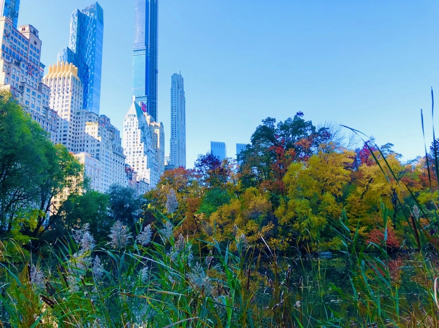 IMG_3761.jpg?type=w966