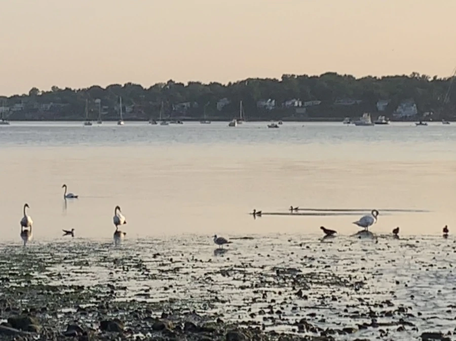 IMG_9768.jpg?type=w966