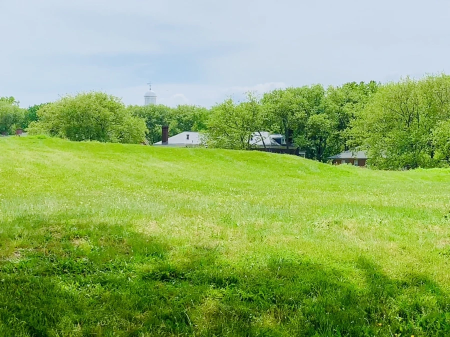 IMG_5151.jpg?type=w966