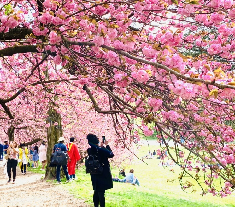 IMG_5187.jpg?type=w966