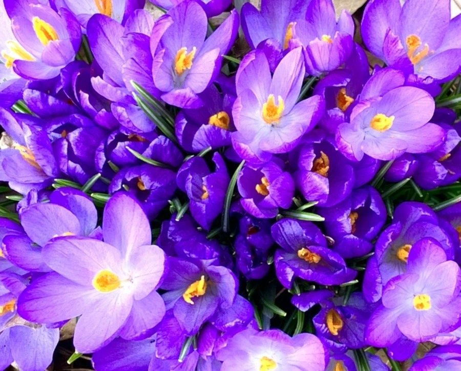 0a6TIEMRxGb4unkdQq-rqD59W-8