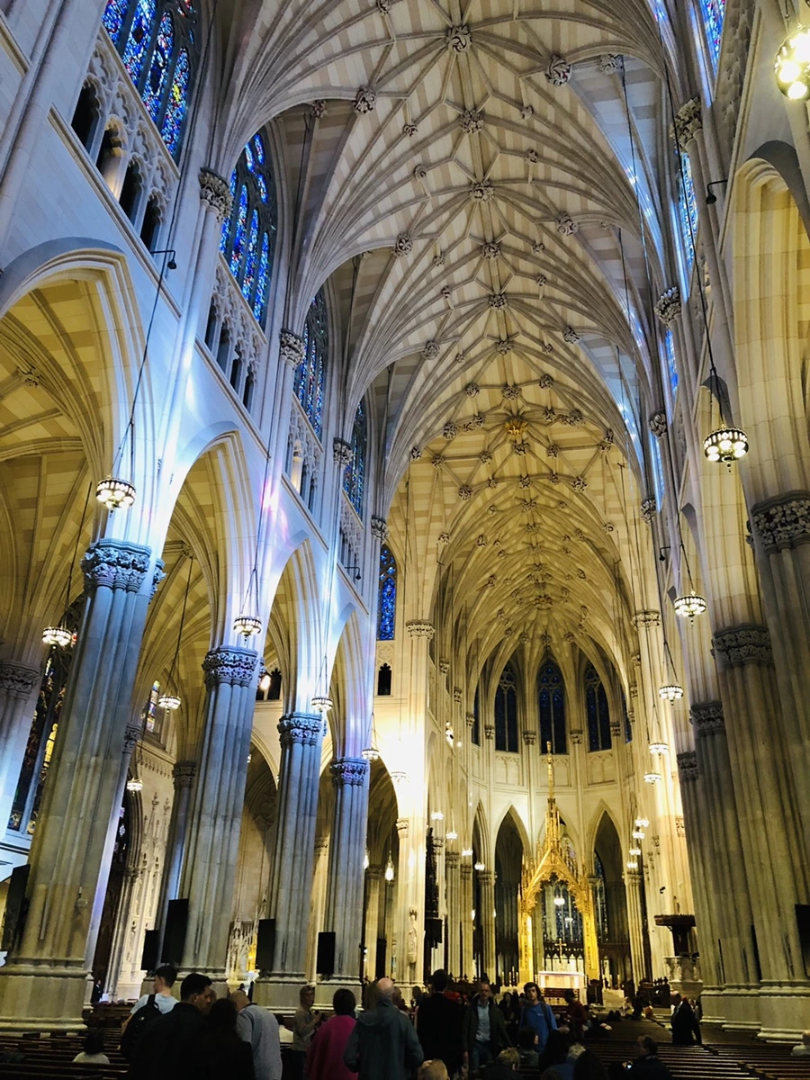 IMG_2495.jpg?type=w966