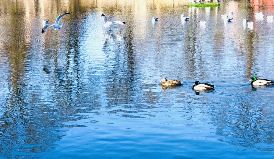 IMG_9758.jpg?type=w966