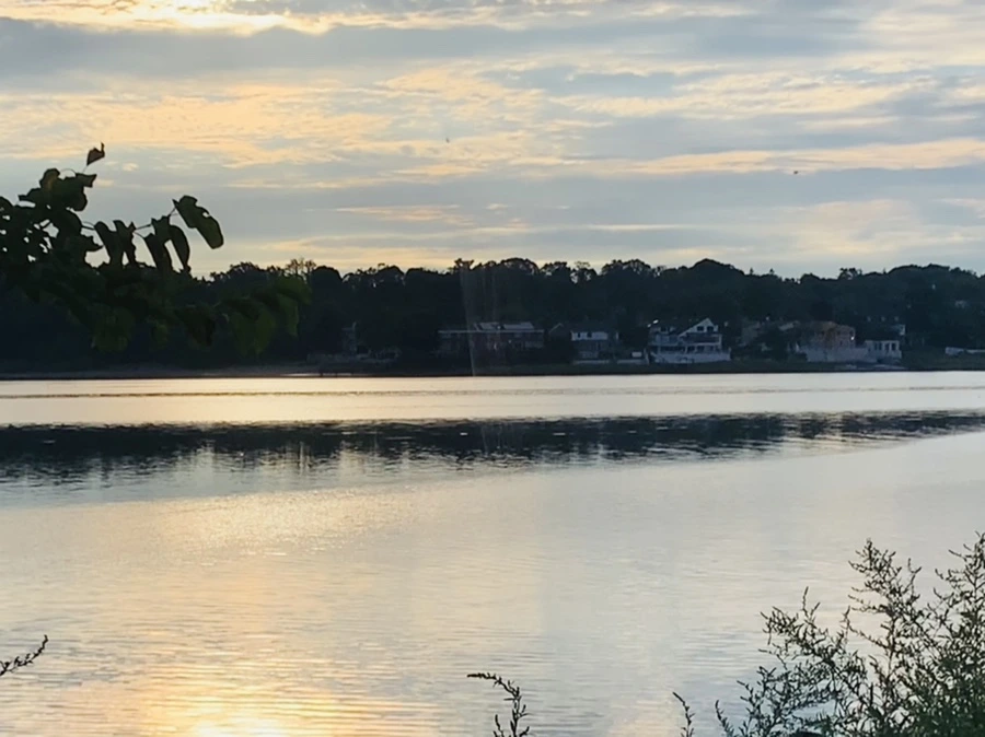 IMG_7741.jpg?type=w966