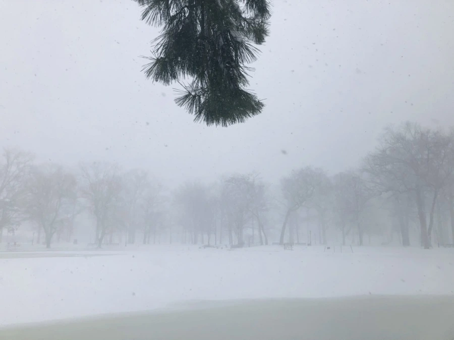 IMG_8826.jpg?type=w966