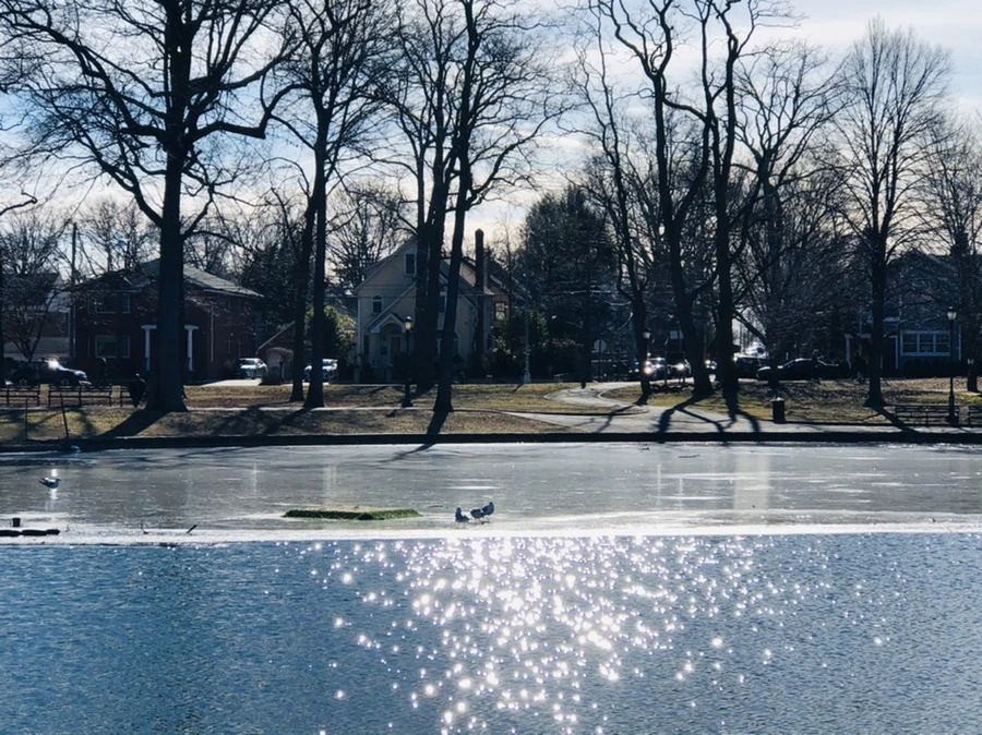 IMG_5418.jpg?type=w966