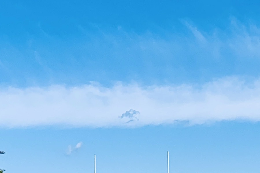 IMG_1893.jpg?type=w966