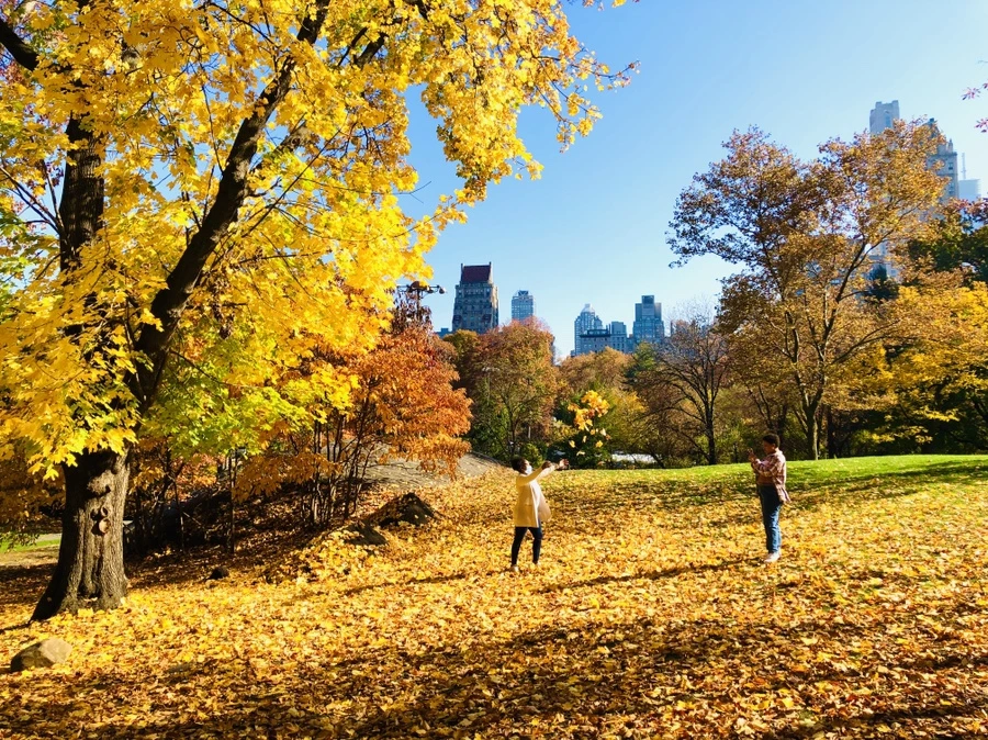 IMG_4240.jpg?type=w966