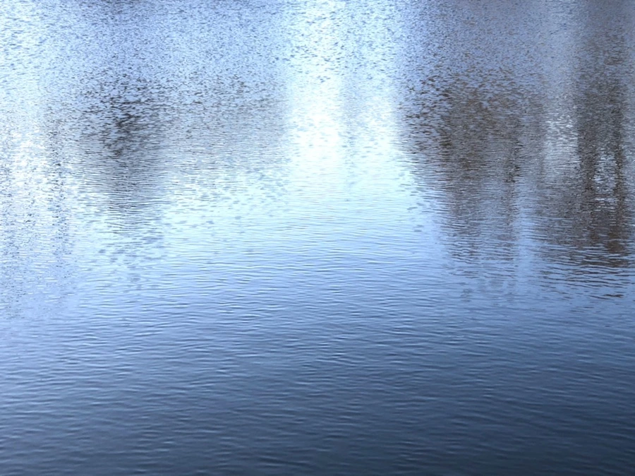 IMG_1114.jpg?type=w966