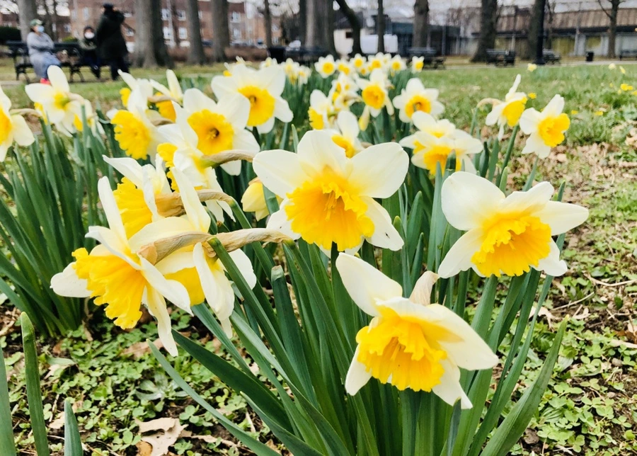 IMG_6535.jpg?type=w966