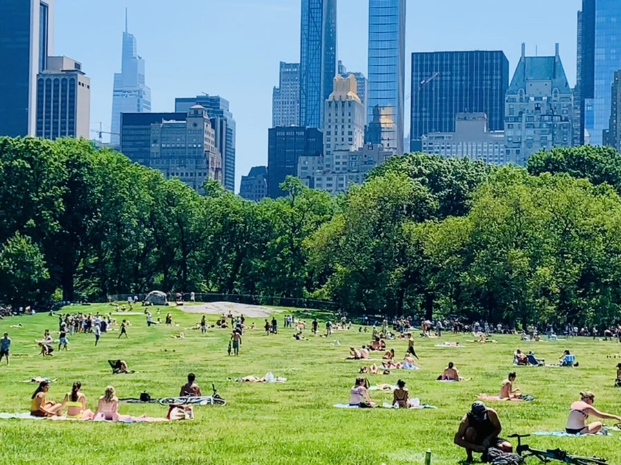 IMG_1020.jpg?type=w966