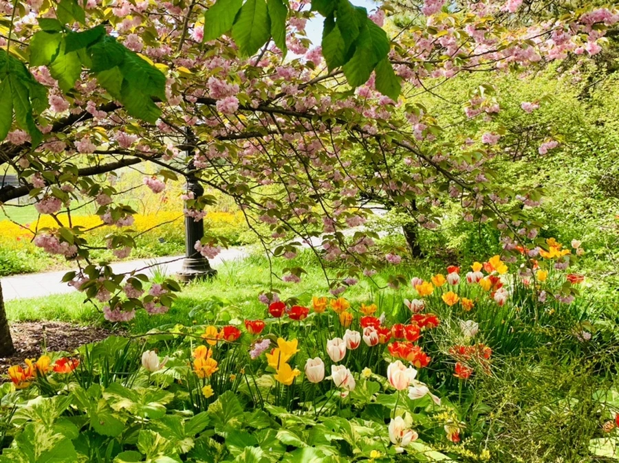 IMG_6880.jpg?type=w966