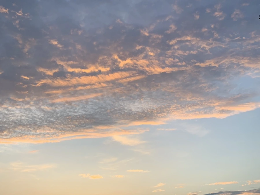 IMG_1201.jpg?type=w966