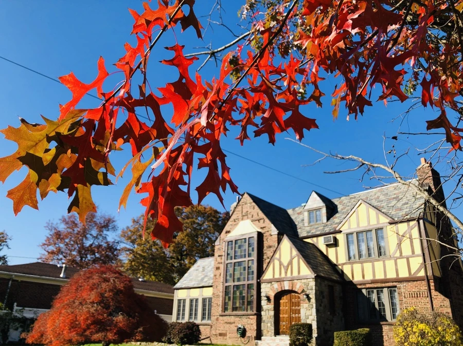 IMG_4165.jpg?type=w966