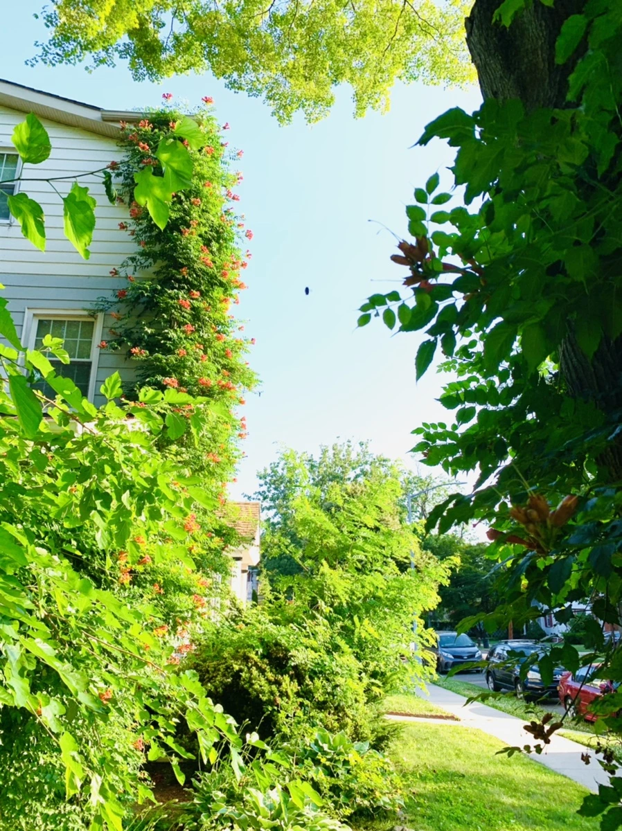 IMG_8241.jpg?type=w966