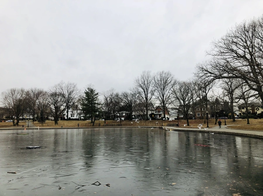 IMG_9068.jpg?type=w966