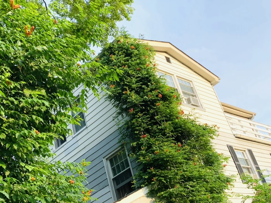 IMG_5019.jpg?type=w966