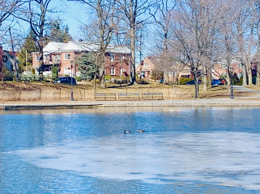 IMG_6600.jpg?type=w966