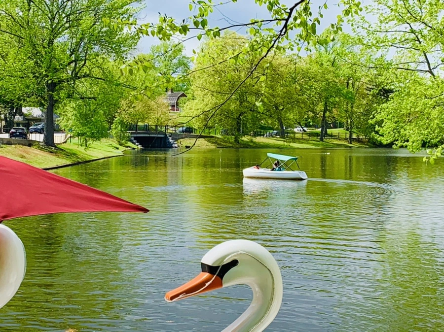 IMG_2486.jpg?type=w966