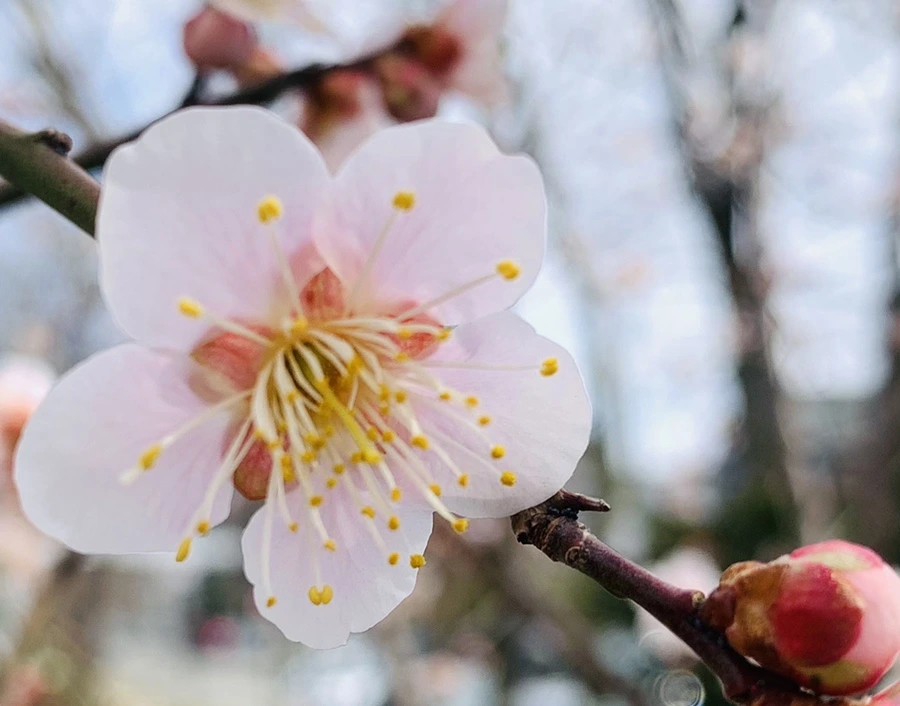 IMG_0474.jpg?type=w966