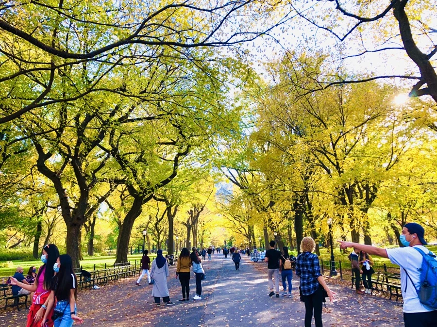 IMG_3500.jpg?type=w966