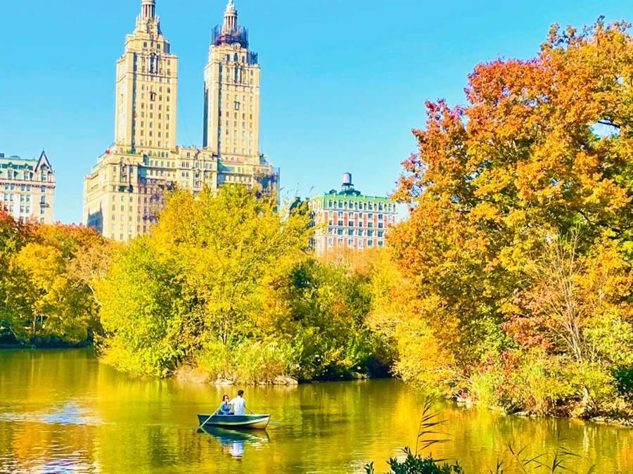 IMG_1642.jpg?type=w966