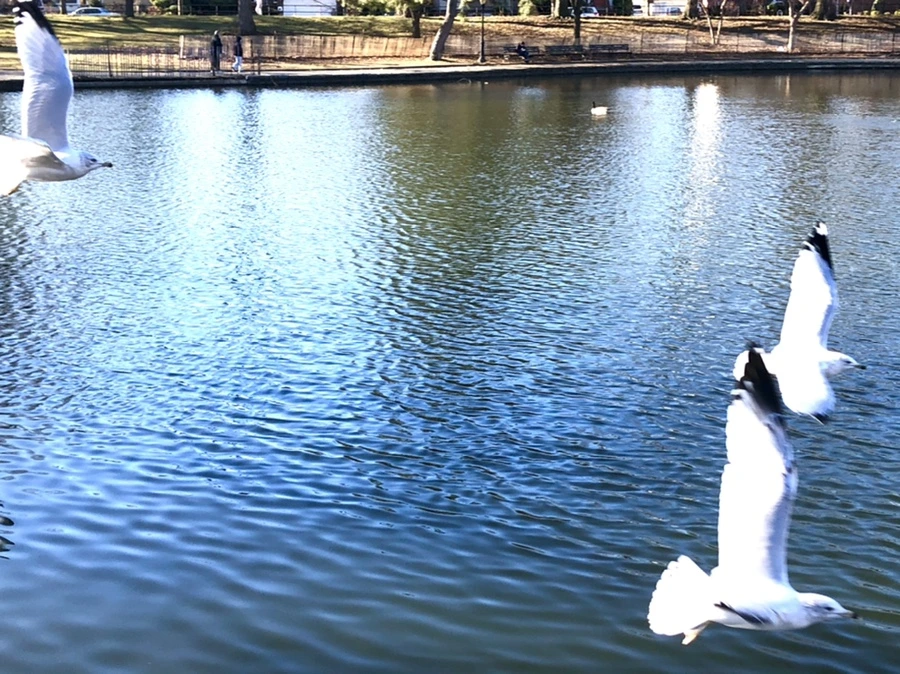 IMG_0598.jpg?type=w966