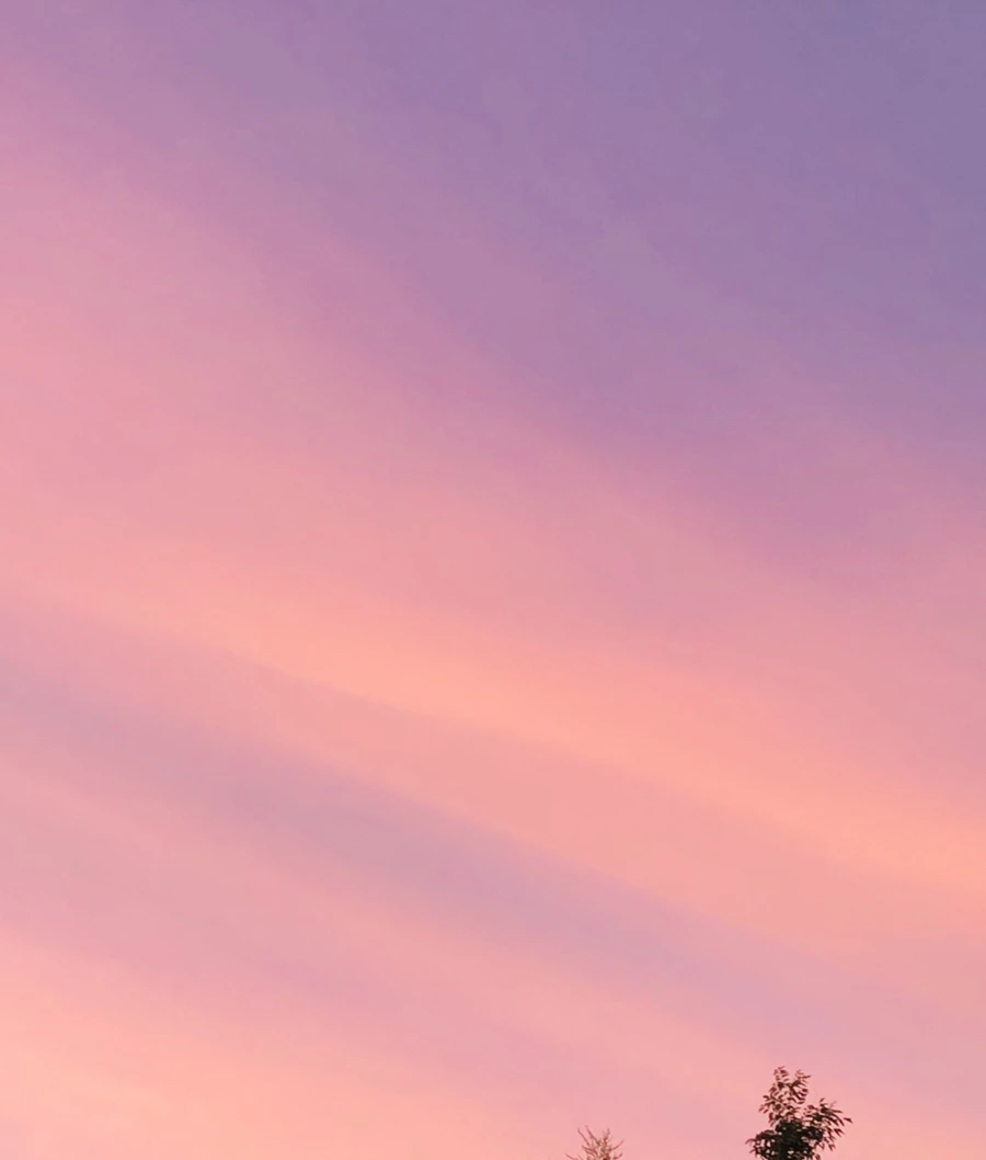 IMG_4566.jpg?type=w966