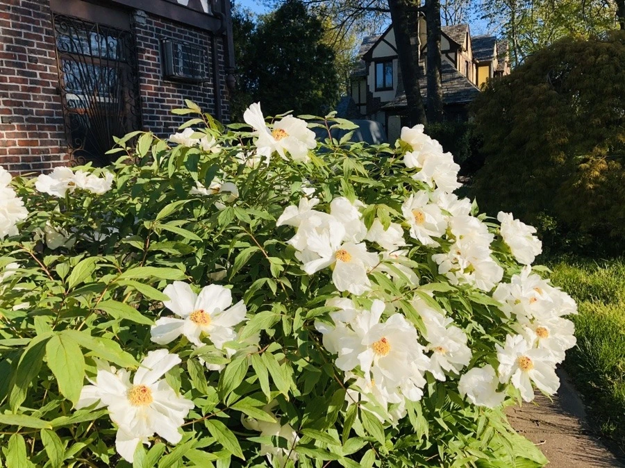 7Um2uzXNylSCvgiFUWx1CZLO0qE